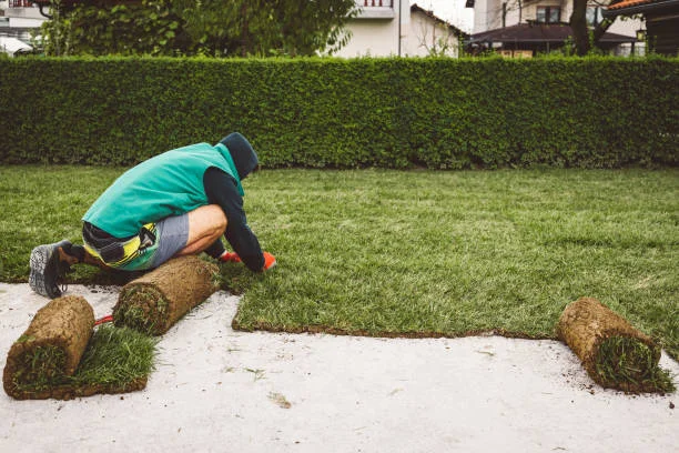 Carpet Installation Service